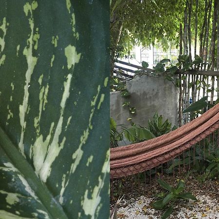Wabi Sabi Garden Guesthouse By Amara Concepts. Тулум Экстерьер фото